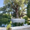 Well of Being Summer Forging in Portugal