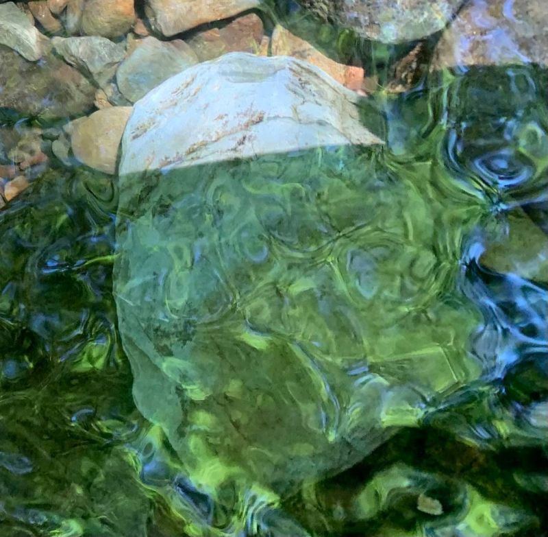 Restoring Natural Flows