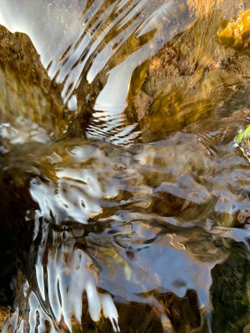 For the Waters and crystalline structures of the planet and all living beings