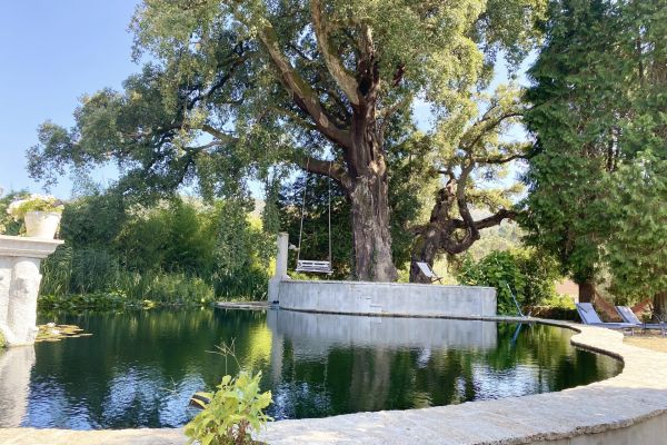 Well of Being Summer Retreat