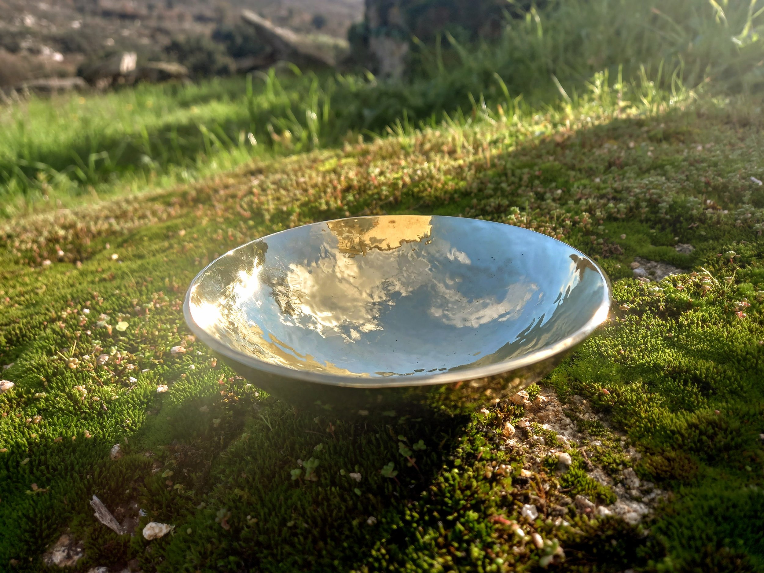 Singing Bowl - Opening Doors to Perception