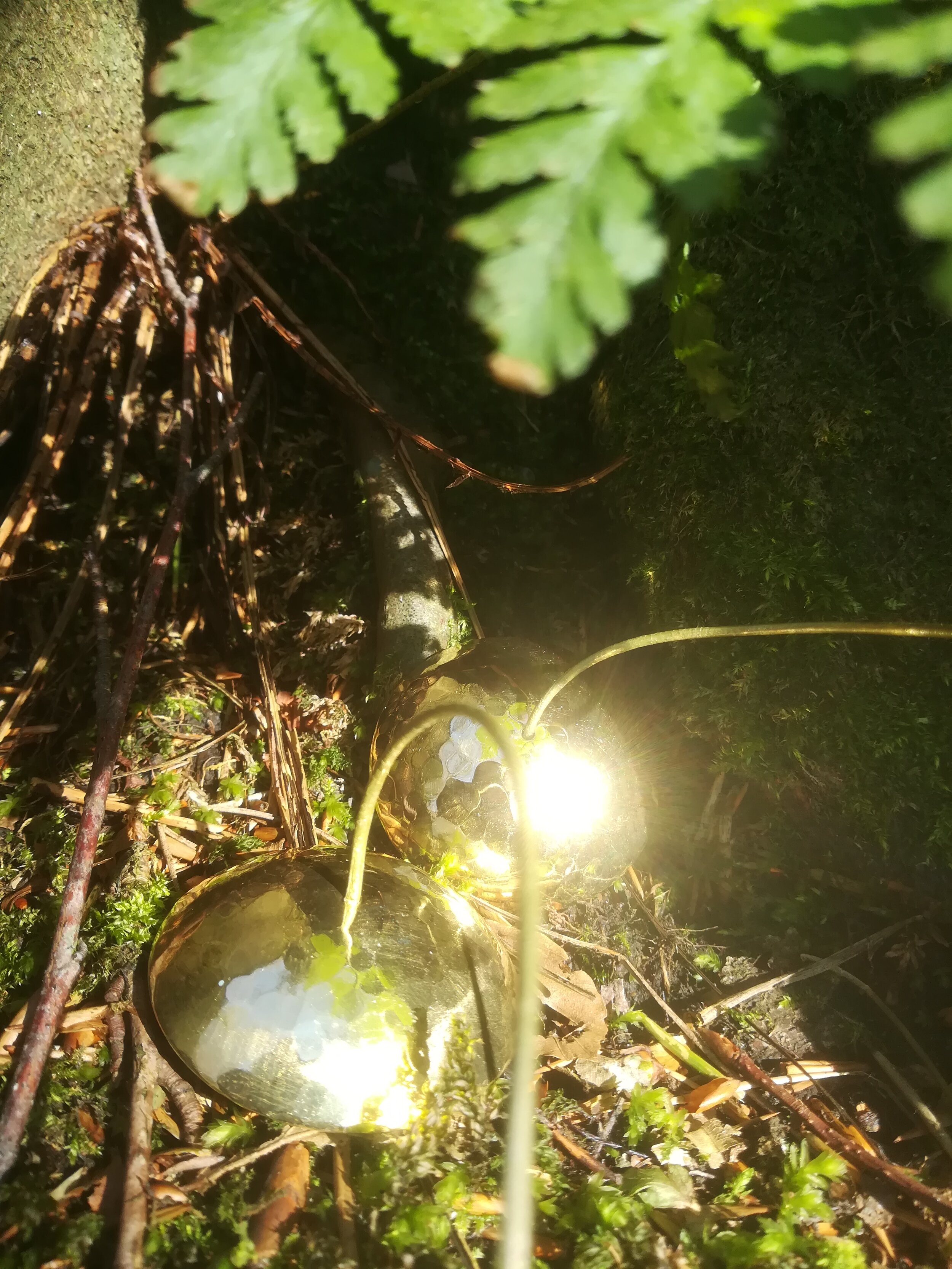 Gift For Nature - Brass Bells 