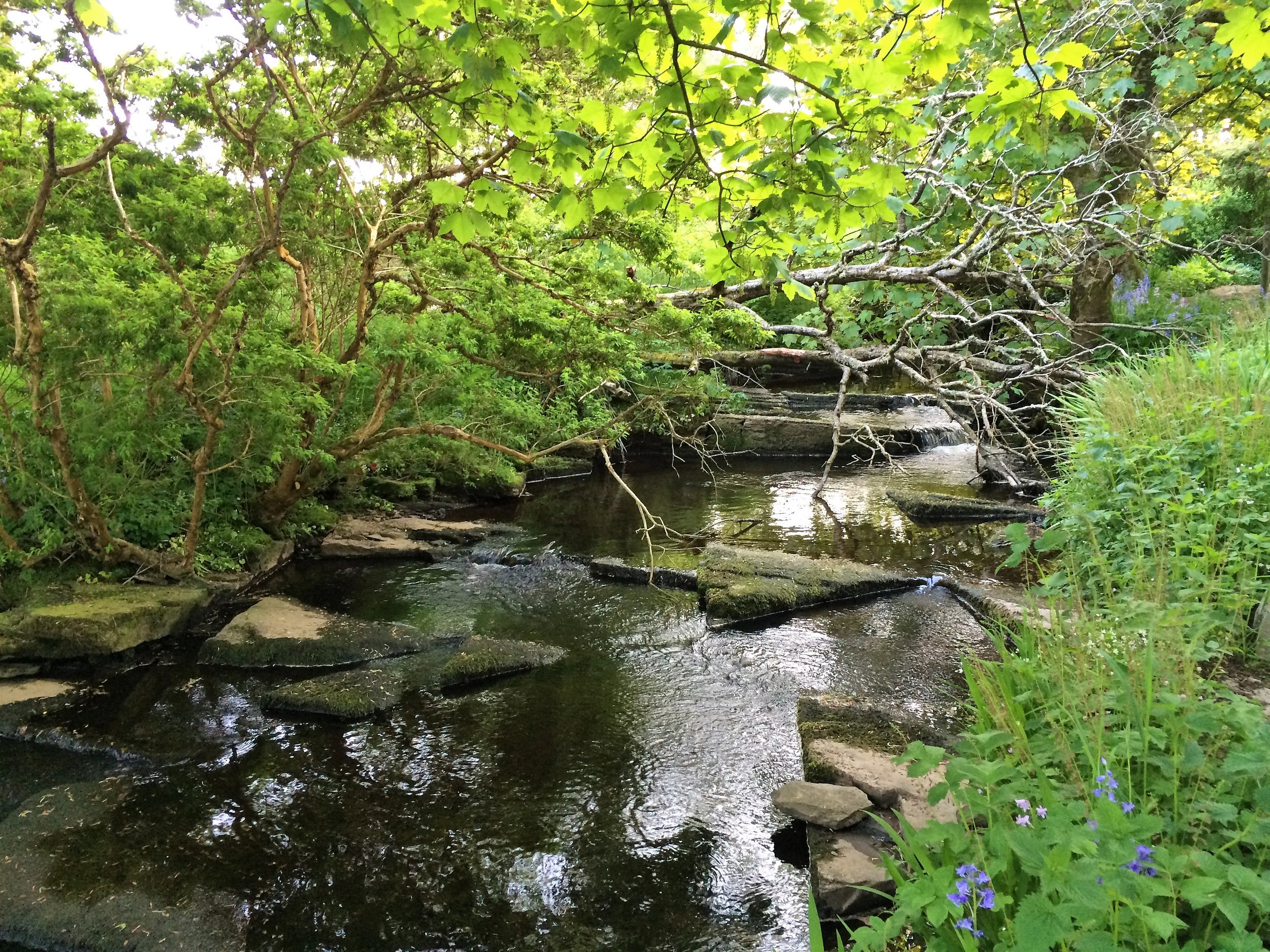 woodwick-stream-1.jpg